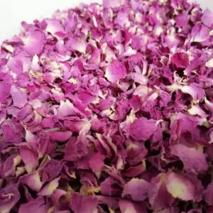 Rosenblütenblätter der Rosa x damascena