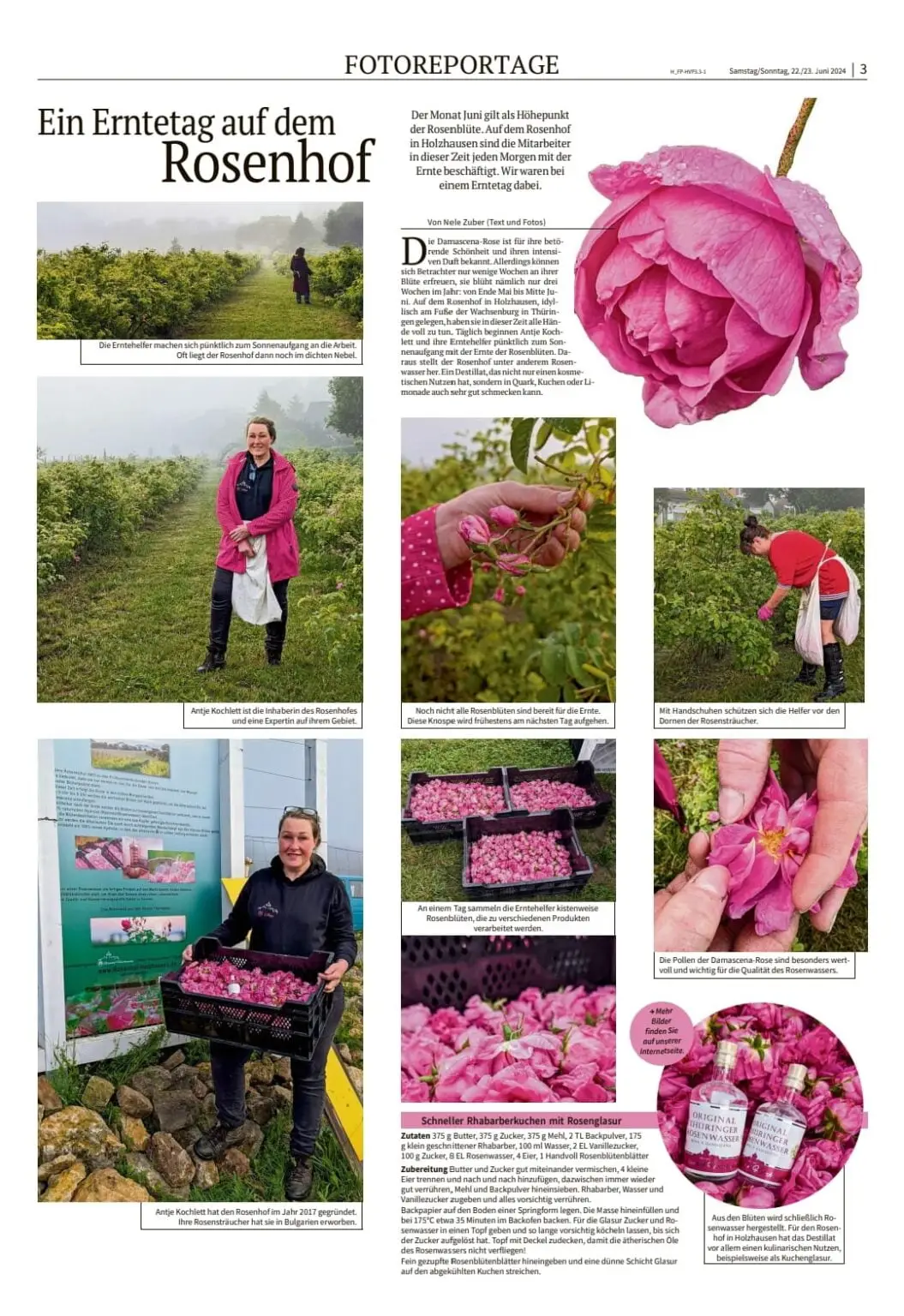 Erntetag auf dem Rosenhof 2024